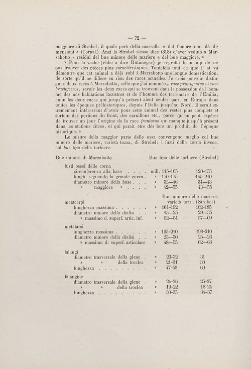 Страница 84
