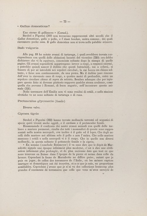 Страница 85