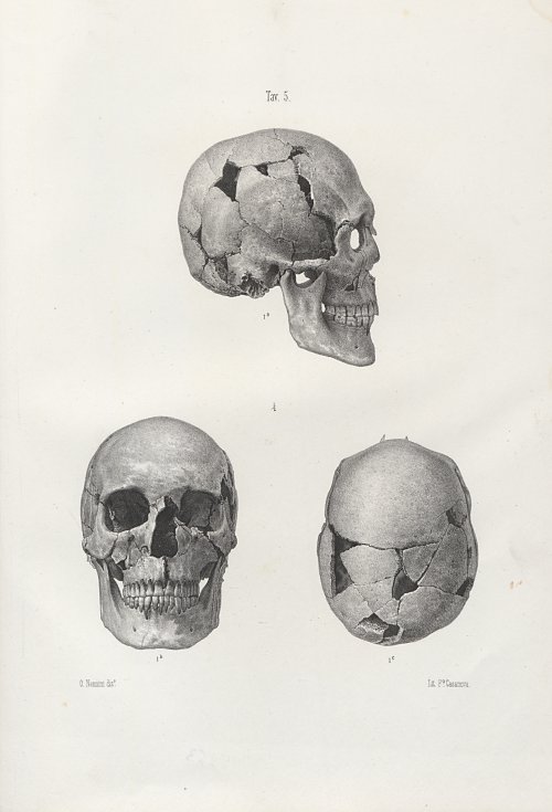 Страница 262