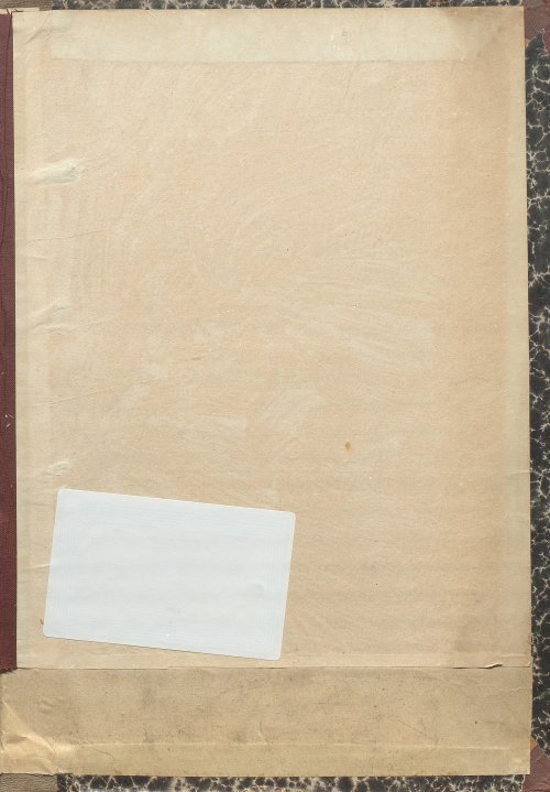 Страница 137