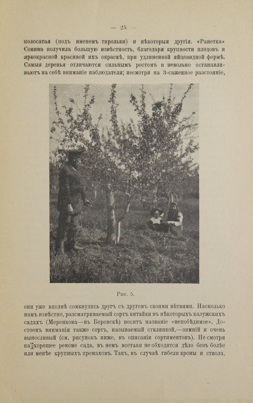 Страница 44