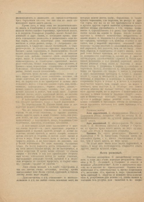 Страница 36