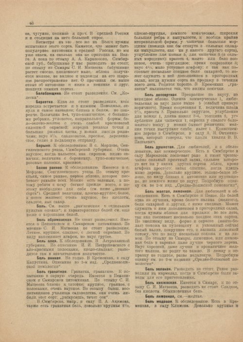 Страница 42