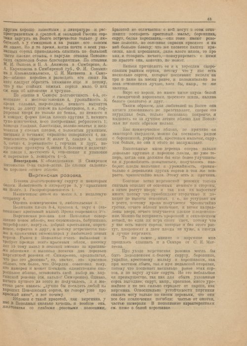 Страница 45