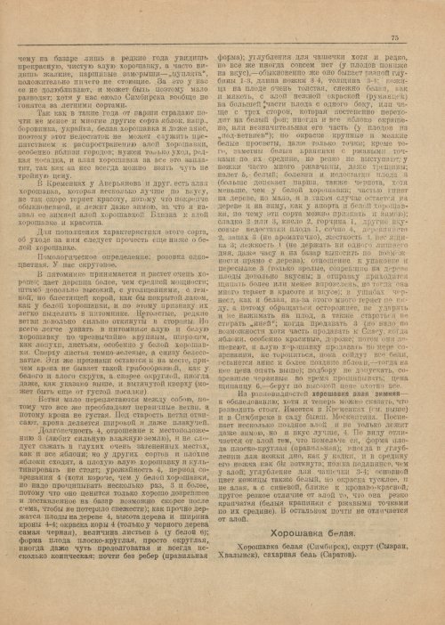 Страница 77