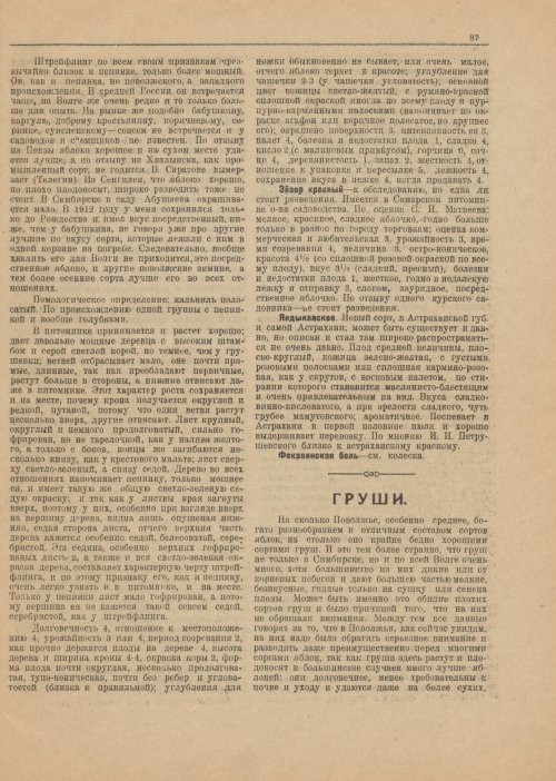 Страница 89