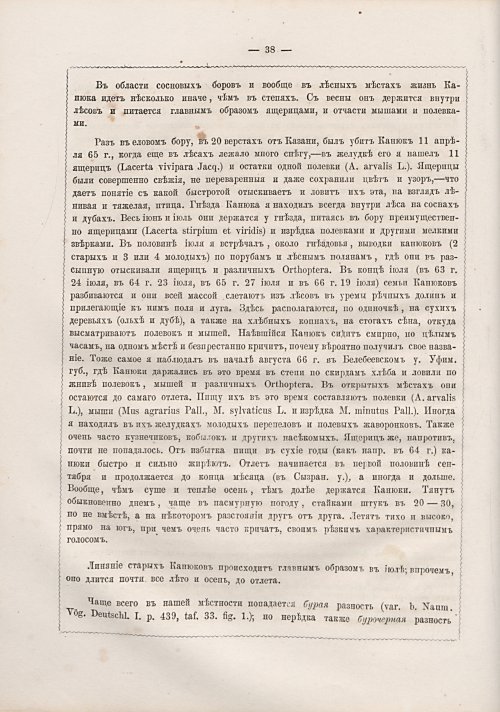 Страница 46