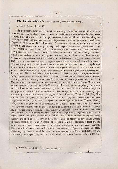 Страница 53