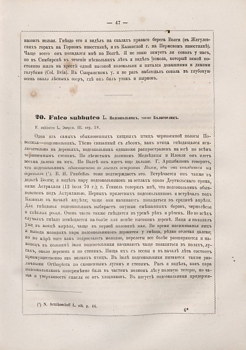 Страница 55