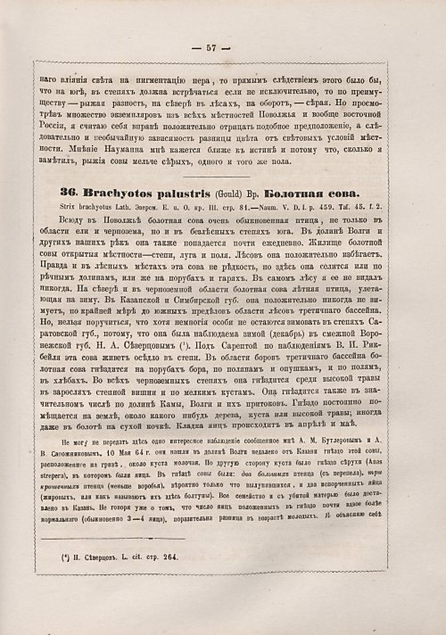 Страница 65