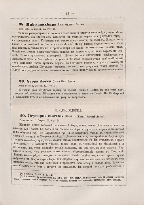 Страница 67
