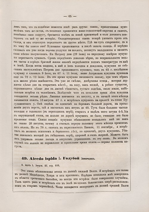 Страница 73