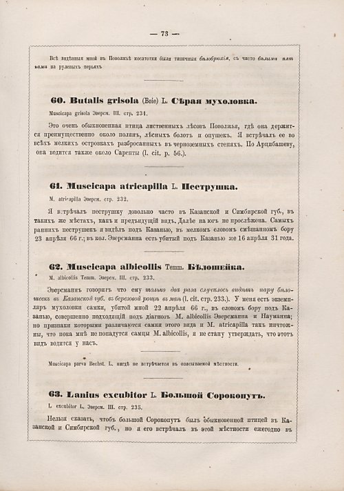 Страница 81