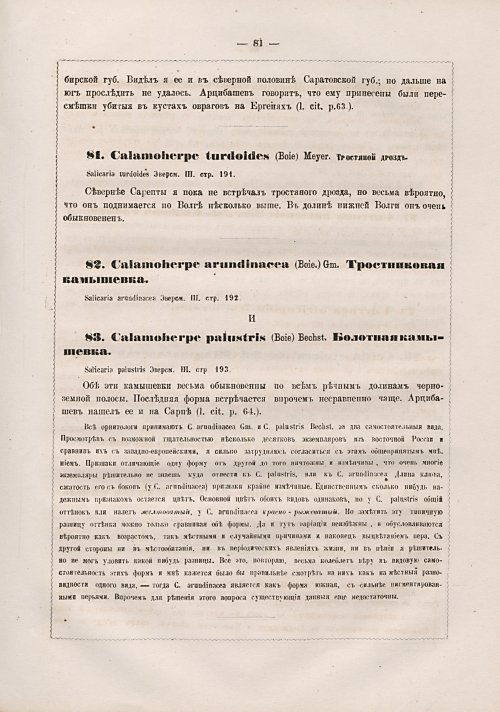 Страница 89