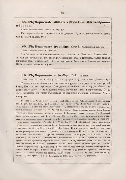 Страница 91