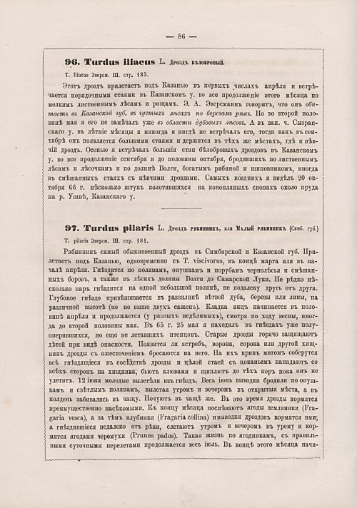 Страница 94