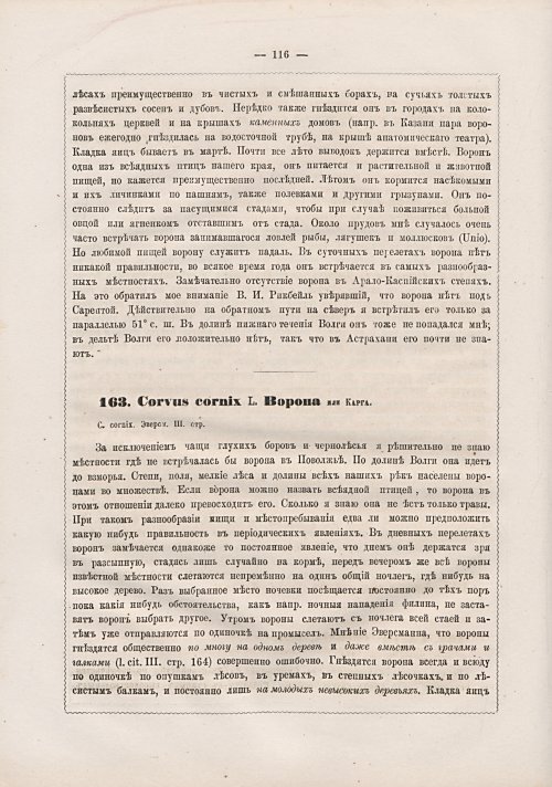 Страница 124
