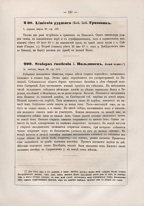 Страница 145