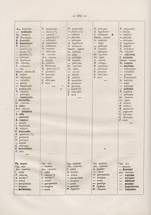 Страница 190