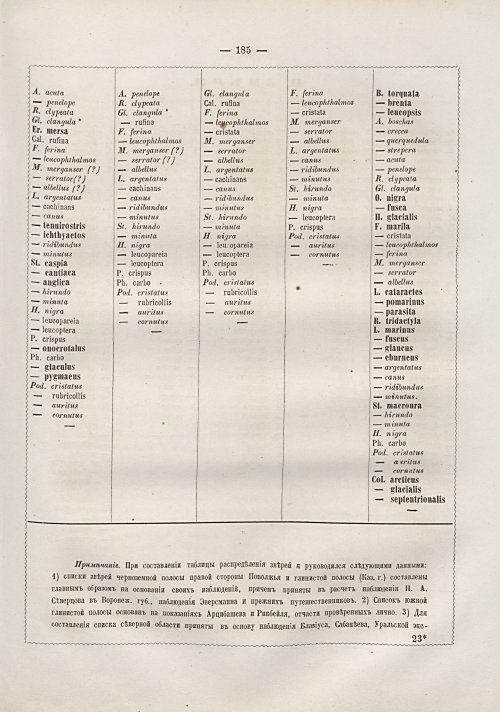 Страница 191