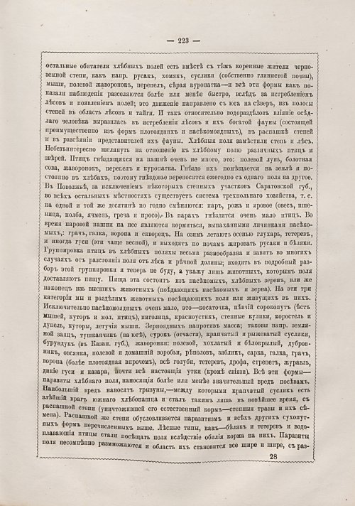 Страница 229