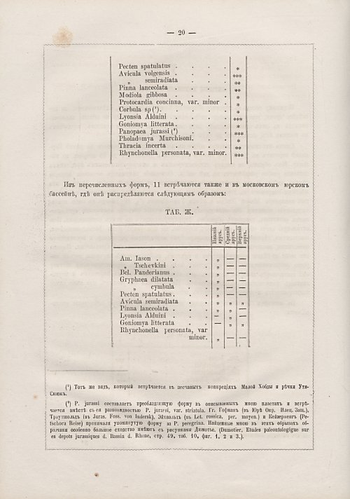 Страница 254