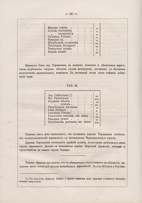 Страница 262