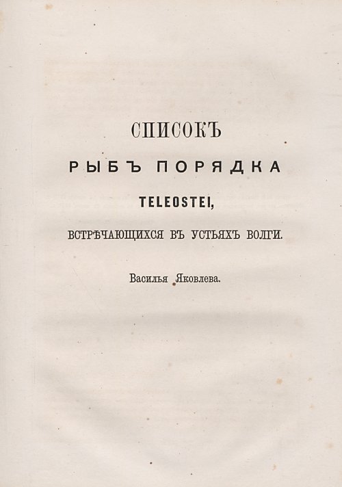 Страница 282