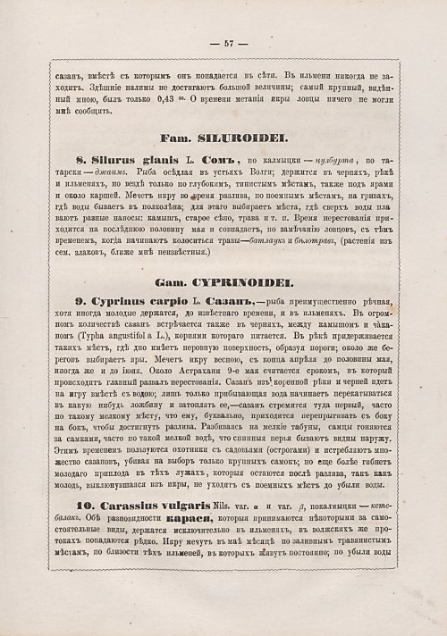 Страница 286