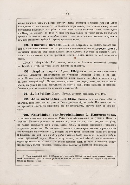 Страница 289