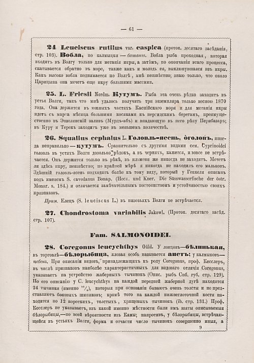 Страница 290