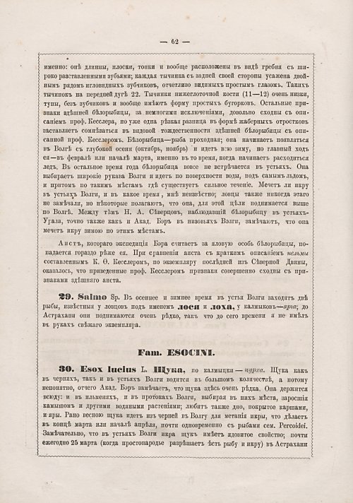 Страница 291