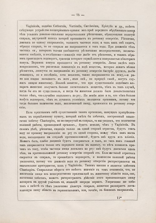 Страница 304