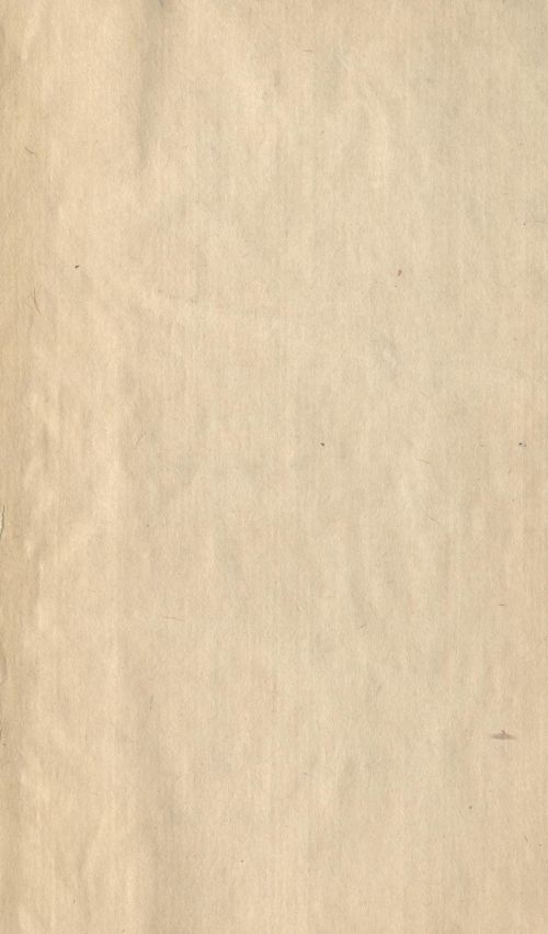 Страница 217