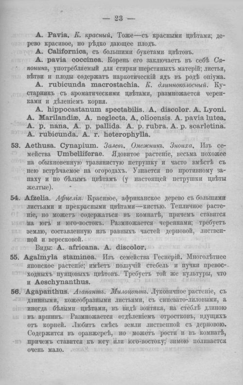 Страница 62