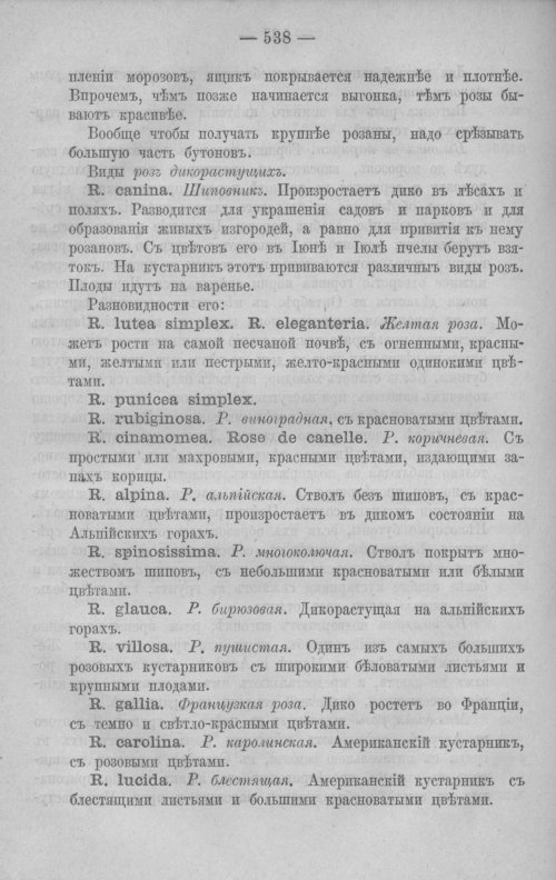 Страница 577