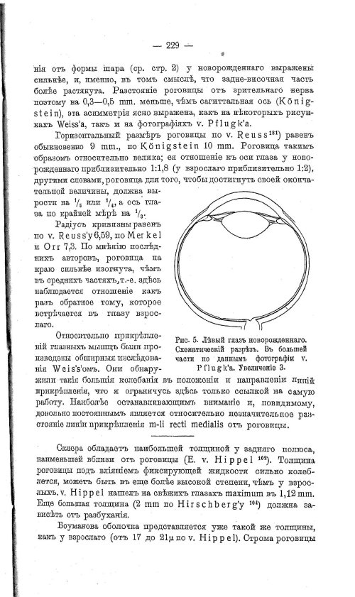 Страница 238