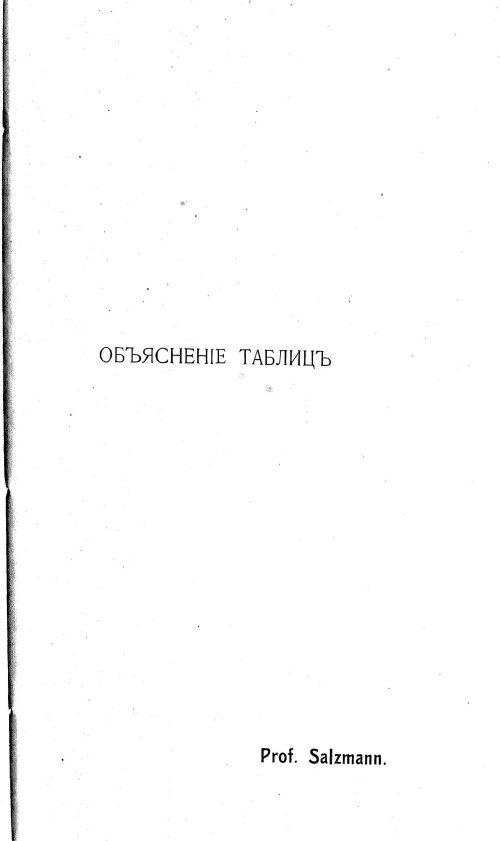 Страница 262
