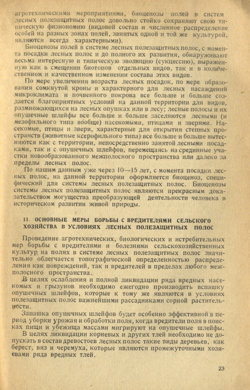 Страница 25