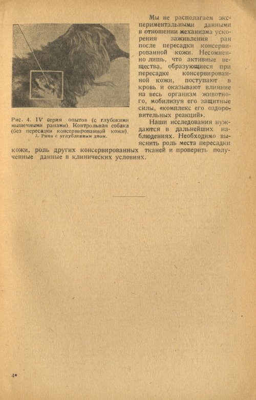Страница 53