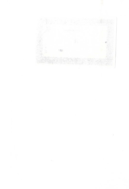 Страница 239