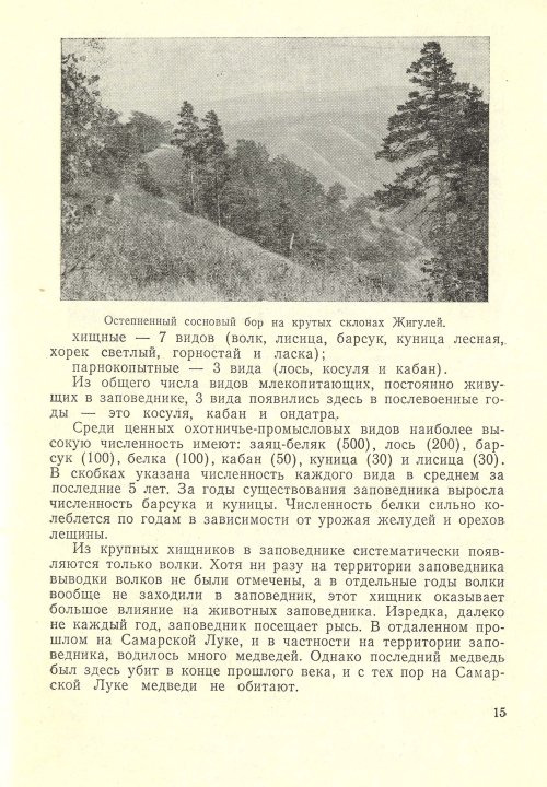 Страница 17