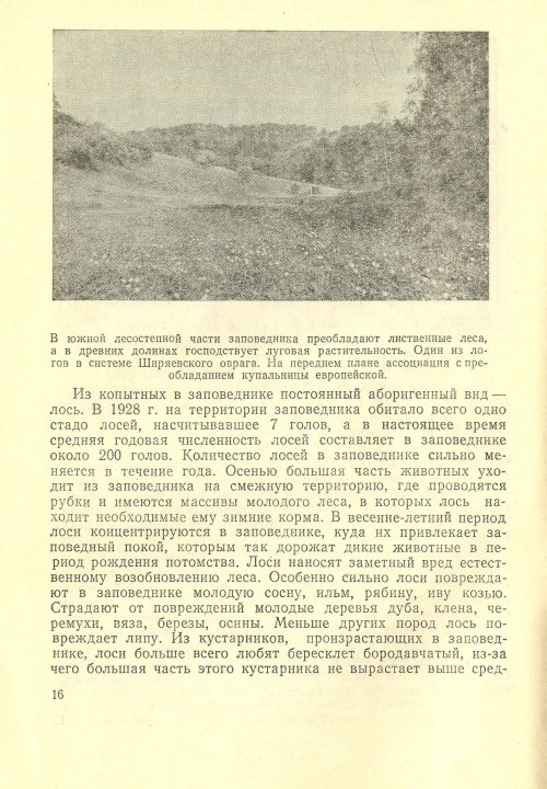Страница 18