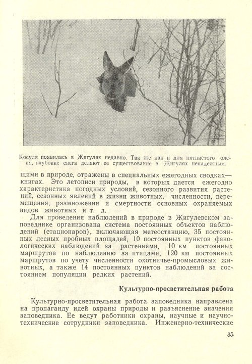 Страница 37