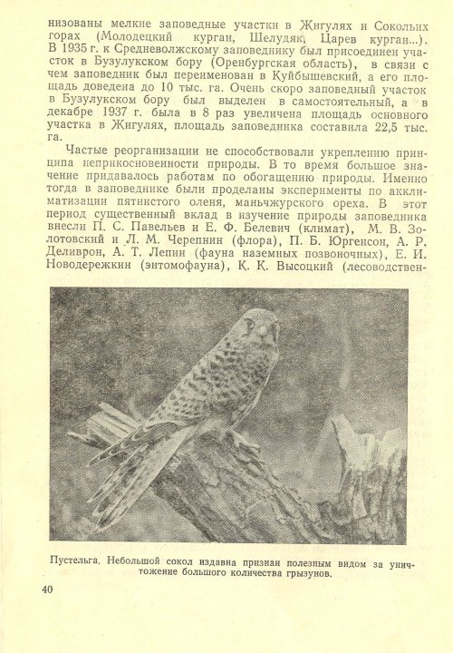 Страница 42