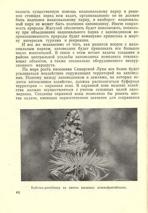 Страница 48