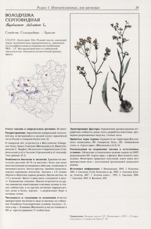Страница 33