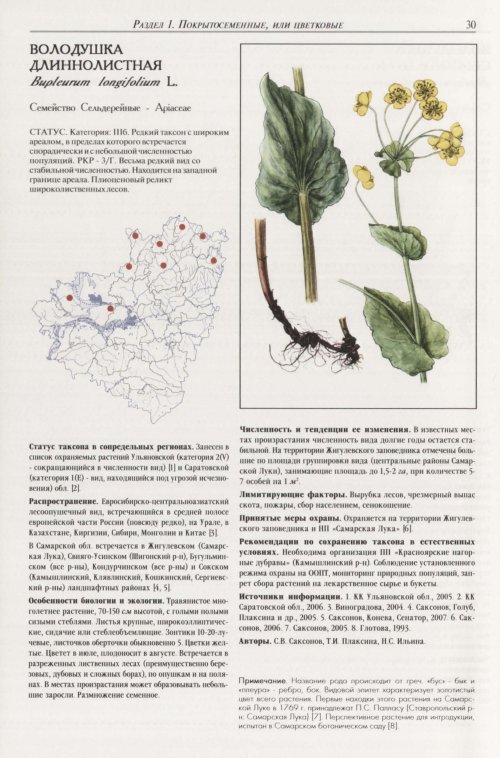 Страница 34