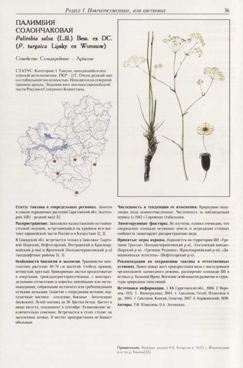 Страница 40