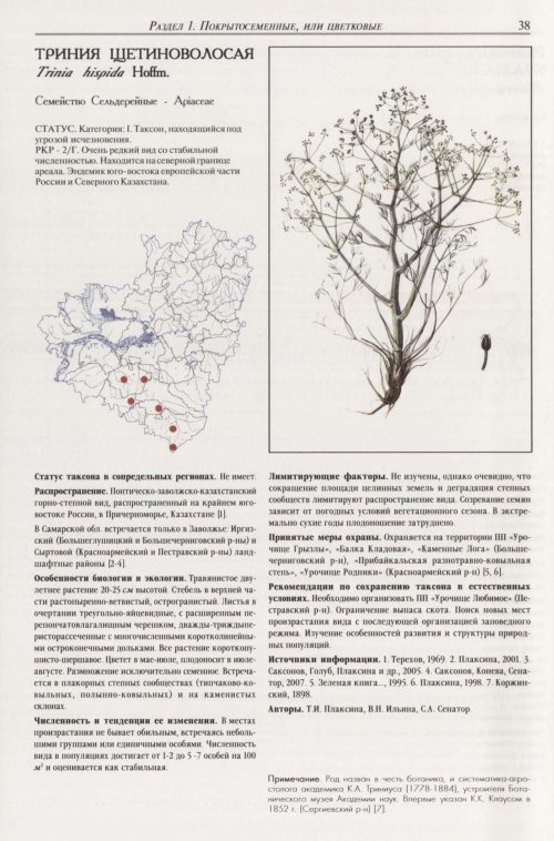 Страница 42